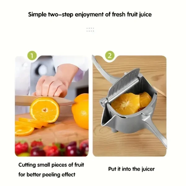 SHTRYDHESE FRUTASH MANUALE - Image 5
